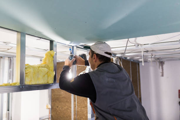 Best Eco-Friendly Insulation in Bridgewater Center, NJ